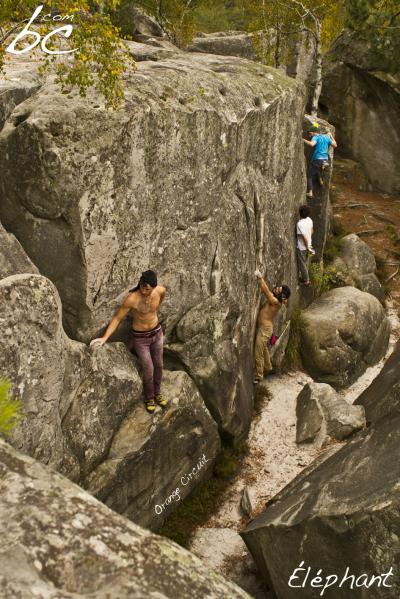 "Orange Circuit" (8)